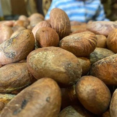 The Red Kola Nut A Story of Wisdom, Greed, and Unexpected Consequences